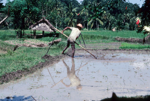 Day 1 - level field July '86