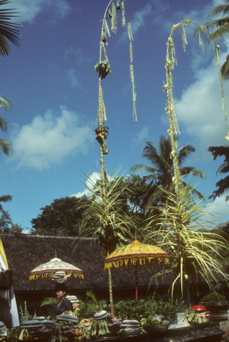 Woman carries offering for Saraswati day past ceremonial umbrellas and festive poles