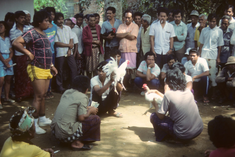 Crowd of men watch betting for cock fight