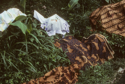 Laundry draped over plants to sun dry