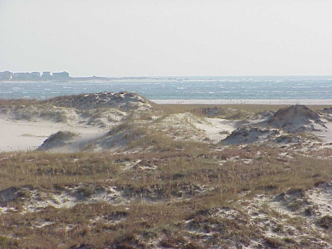 Bear Island dunefield (White Oak River Mouth)