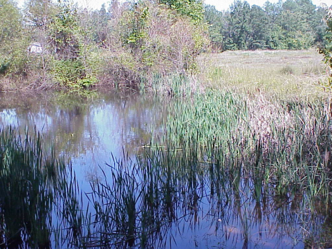 Clay to pot transformation