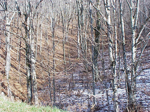 Climate differences on different slopes