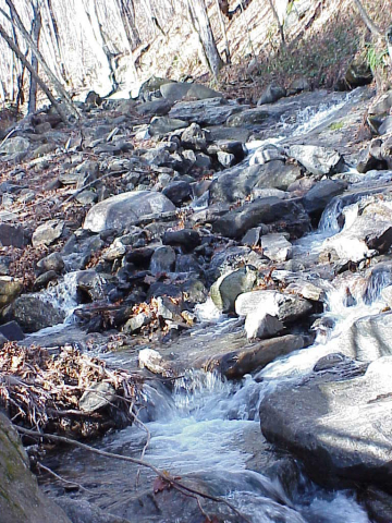 Creek at middle elevations-Roan Highlands