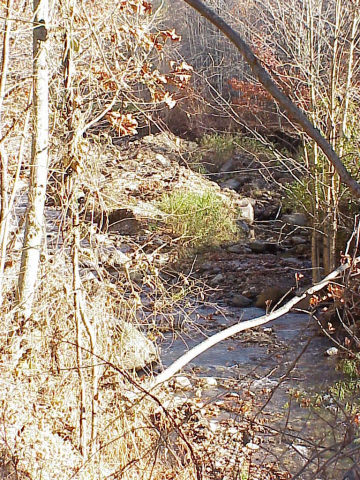 Creek at base of Roan Highlands