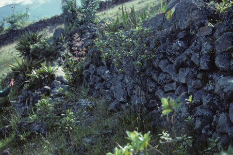 Inca walls near Otavalo, Ecuador