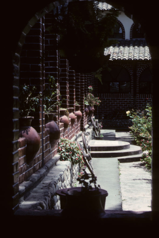 Hotel flowers in Otavalo, Ecuador 