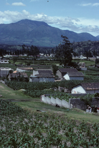 Small farms in Otavalo, Ecuador
