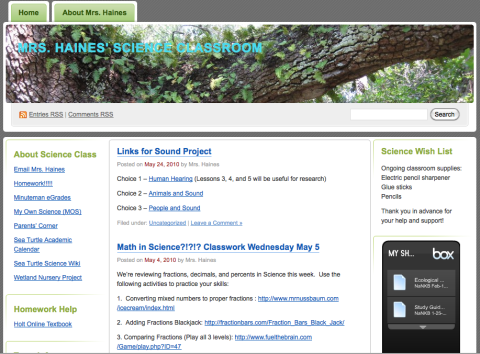 Teacher website example