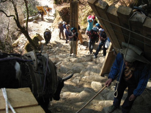 Going to the Namche market