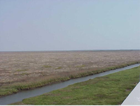 More land and marsh-Carteret County