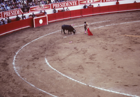 Bull and matador in Guadalajara, Mexico