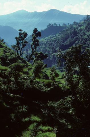 View along the trek from Tirkedhunga to Ulleri