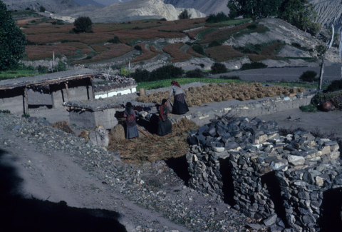 Women at work in Purang village, Nepal