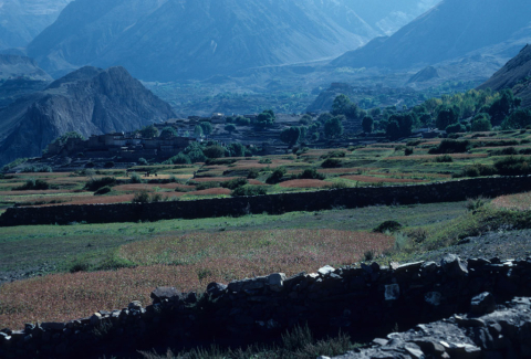 Terraced fields surrounding a village in western mountain, Nepal