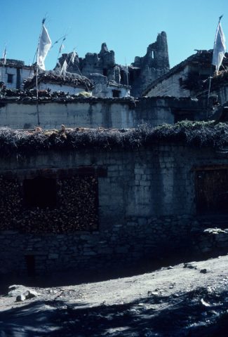 Firewood storage in Purang