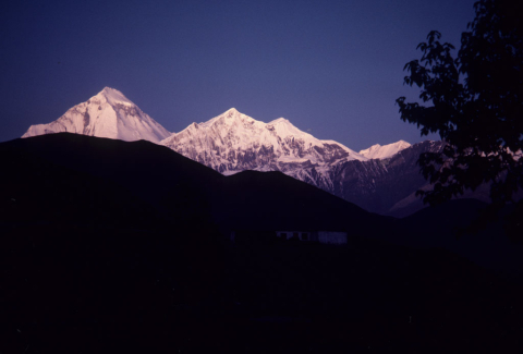 Dhaulagiri peak seen from Muktinath, Nepal