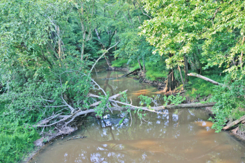 Potecasi Creek