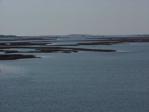 Salt marsh behind Bogue Bank just east of Bogue inlet