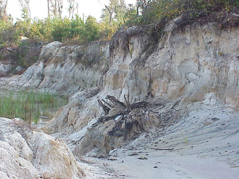 Sandpit-Swansboro Ridge
