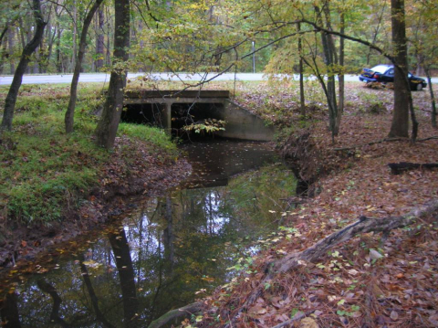 Upper Mud Creek 3 of 3