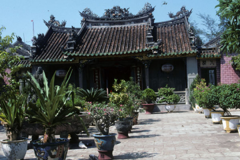 Potted plants and building in Fukian Chinese assembly hall compound at Hoi An